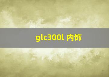 glc300l 内饰